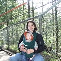 Suspension bridge